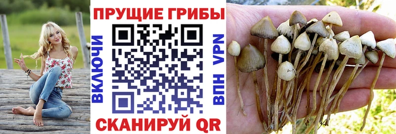 Псилоцибиновые грибы Magic Shrooms Светлогорск